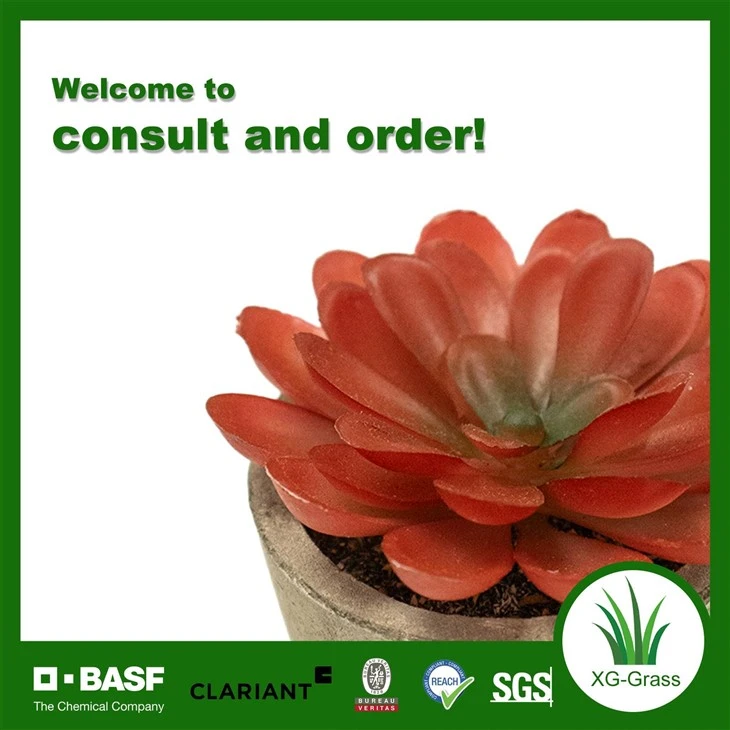 Wholesale Red Artificial Succulent Mini Faux Plants For Home & Office best