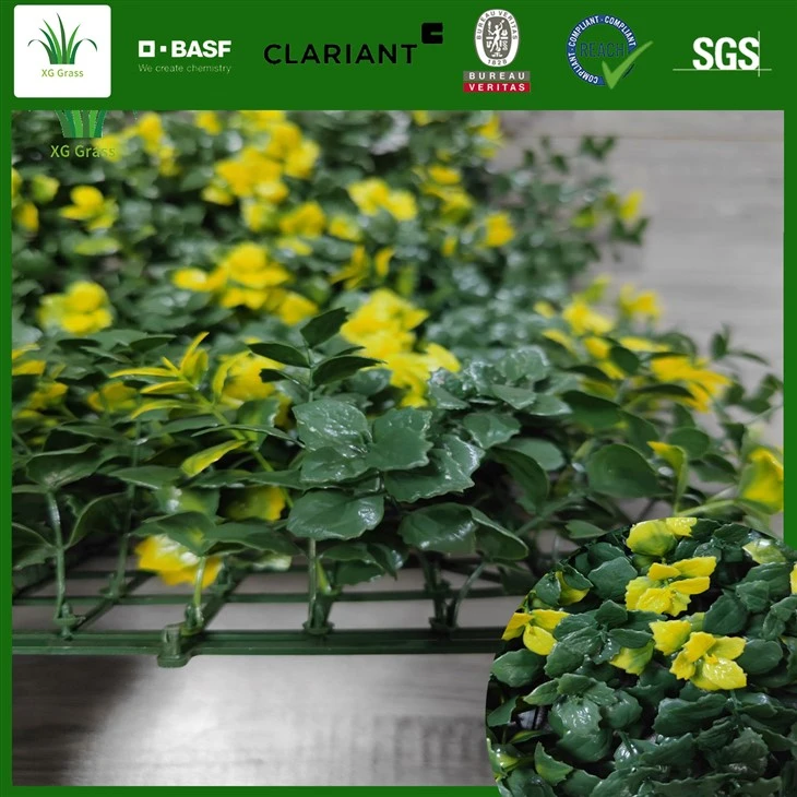 Melhores plantas para jardim vertical