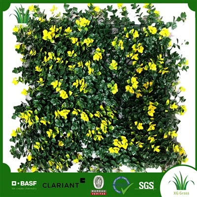 Melhores plantas para paredes verdes internas