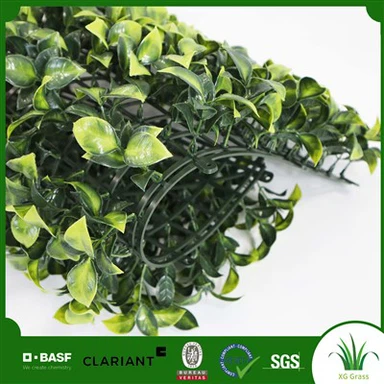 Parede Verde Para Escritório