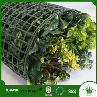 Plantas para pendurar paredes internas