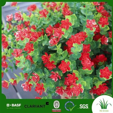 Plantas Falsas Altas
