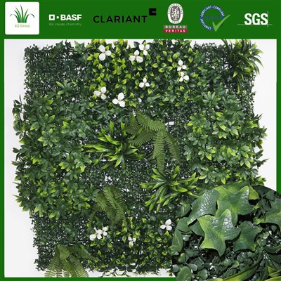 Parede verde do jardim vertical