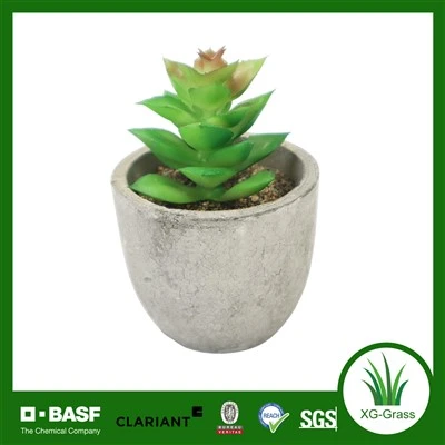 Xingu Mini Planta Suculenta Artificial em Vaso