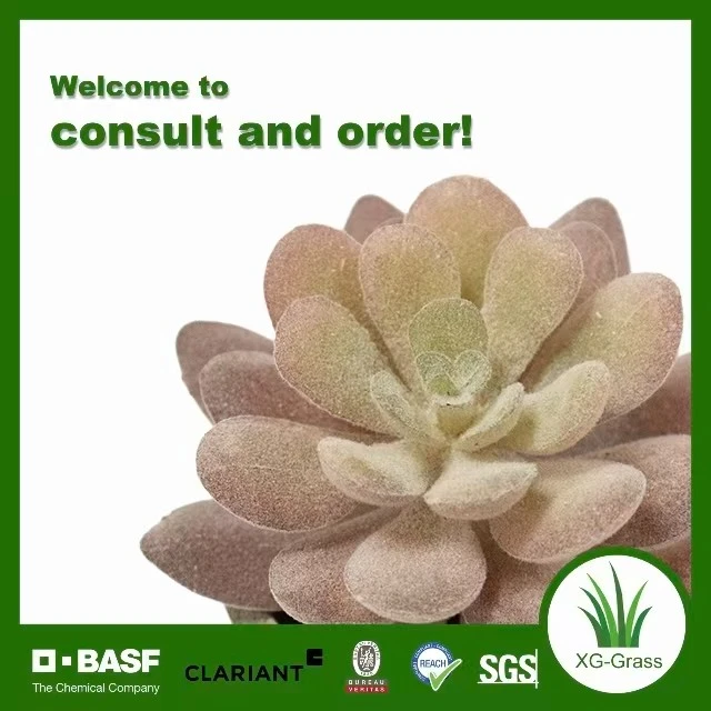 Unfading Mini Succulent Decor factory