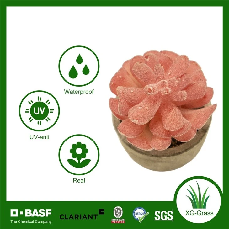 Xingu Lifelike Red Artificial Succulent Plant For Home Decor price